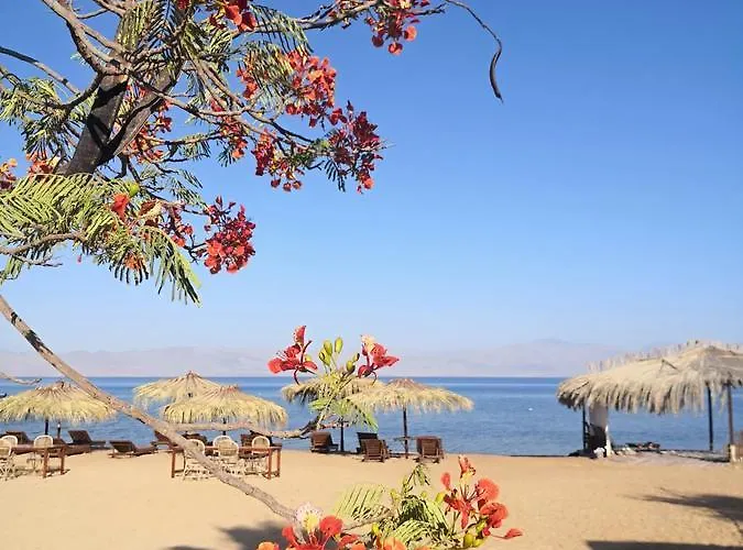 Nuweiba Lodge Lodge