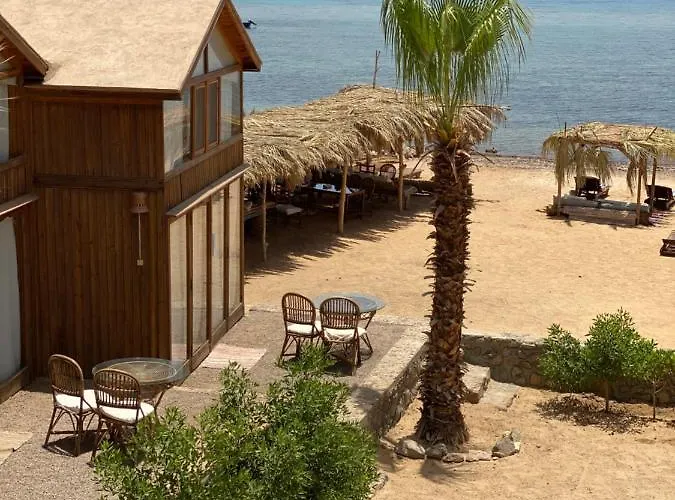 Lodge Nuweiba Lodge *